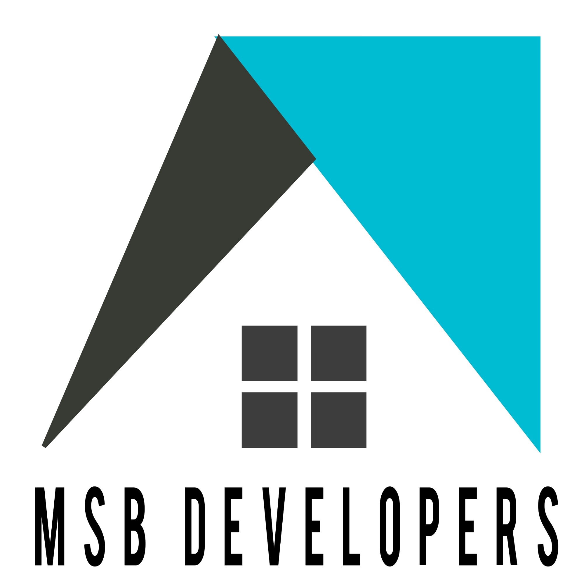 MSB DEVELOPERS logo